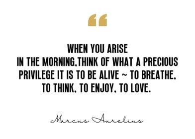 Marcus Aurelius Quote