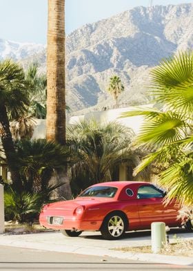 Palm Springs Classic Views