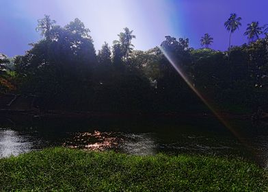 River in Morning Gloom