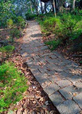 The Paved Path