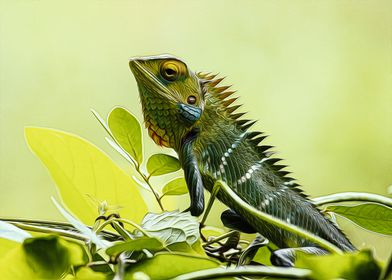 Iguana