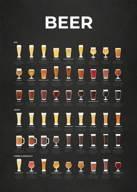 Beer Collection Chart