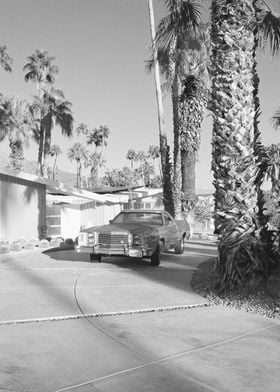 Palm Springs Car 35mm Film