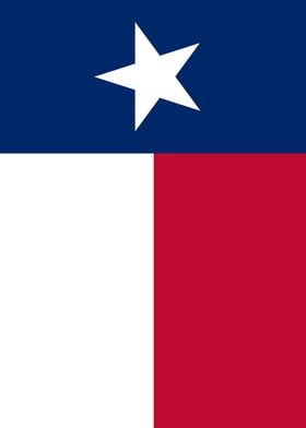 Texas Banner Flag