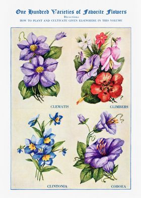 100 Varieties of Flowers
