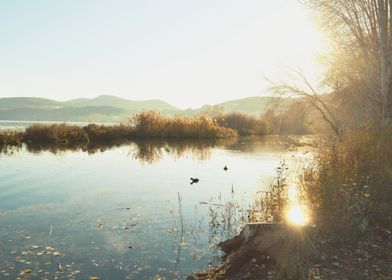 Beautiful autumn lake