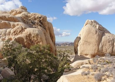 Joshua Tree National Park