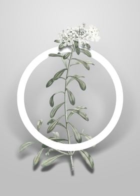 Vintage Small White Flower