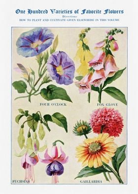 100 Varieties of Flowers