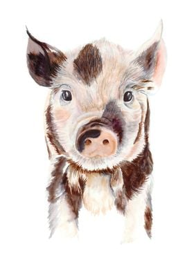 Cute Painting Pig Poster