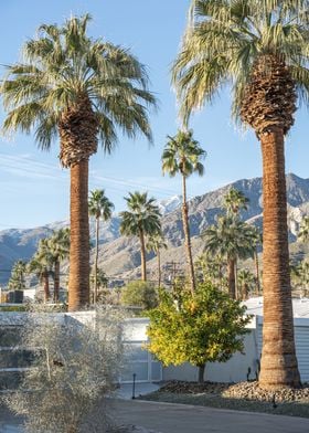 Palm Springs California