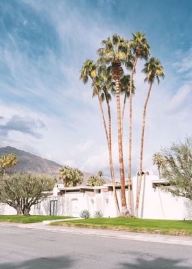 Palm Springs California II