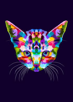 Colorful kitten