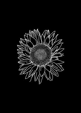 Sunflower White Line Art