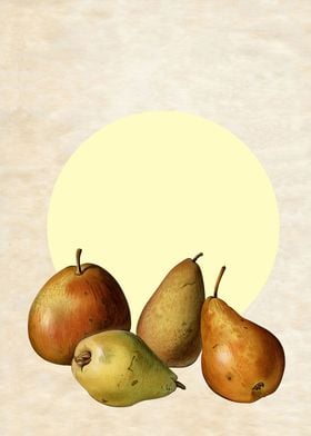 PEARS YELLOW VINTAGE