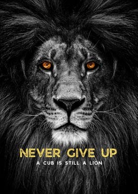 Lion Quote Never Give Up 