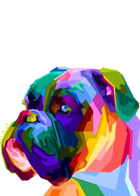 Colorful boxer dog