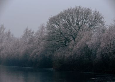 Winter frost on the lake