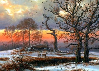 Danish Winter Landscape