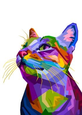 Colorful cat