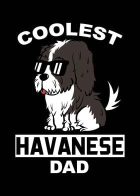 Havanese Dad 