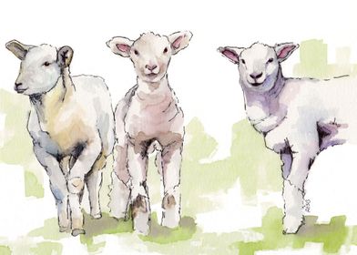 Cute Painting Sheep Poster