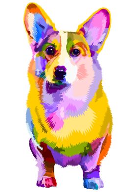 Colorful corgi dog