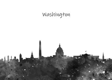 Washington City Skyline