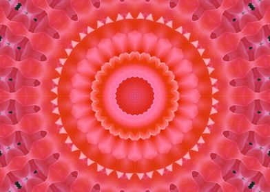 Pink Klaeidoscope mandala4