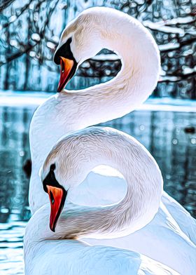 Swan