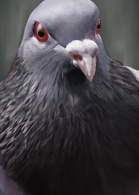 Disappointed pigeon meme