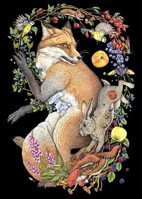 Fox Rabbit and plants