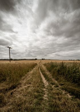 Moody Skies over Paths