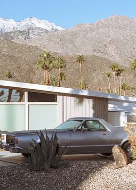 Vintage Palm Springs Views