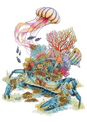 Crab Undersea 