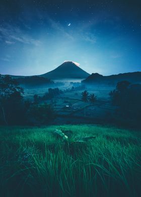 Mountain view at field