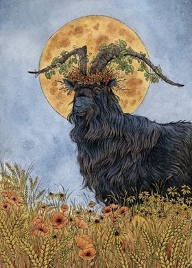 Witchy Goat in a Field