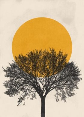 Minimal sun and tree