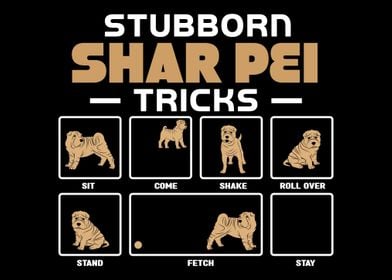 Stubborn Shar Pei Tricks