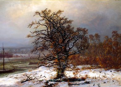 Oak Tree in Winter by Dahl