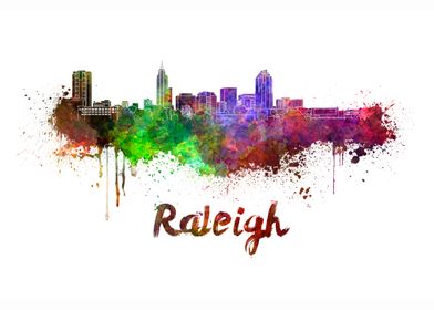 Raleigh skyline