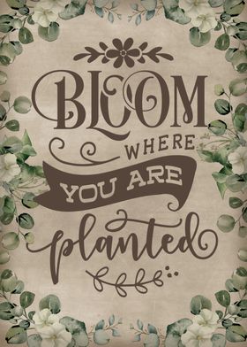 Bloom where you are plant