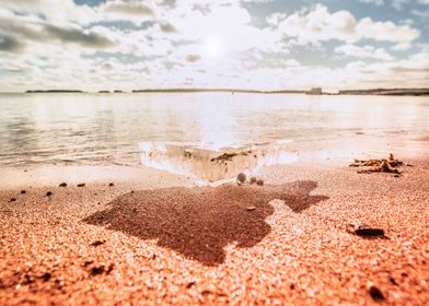 Ice on the Beach