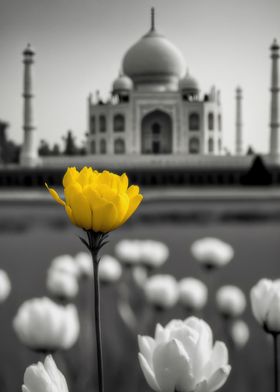 Yellow Flower Taj Mahal 