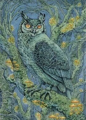 Owl in the Forest