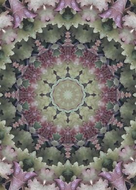 Garden Kaleidoscope 1