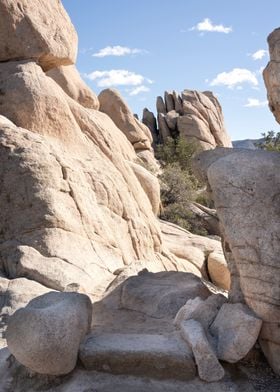 Joshua Tree National Park