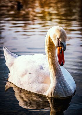 Swan