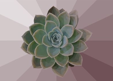 Low Poly Green Succulent
