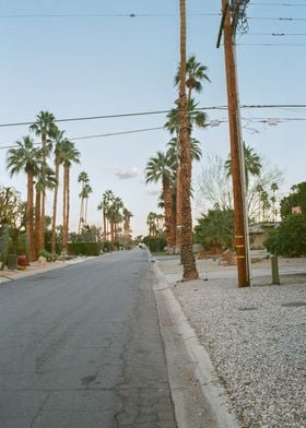 Palm Springs Film Photo